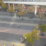 インターロッキングブロック作業後