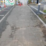 インターロッキングブロック洗浄前